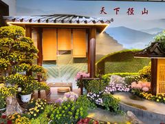 -杭州植物园