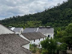 -芦茨金富饭庄·25年老字号·专做稻草鸡