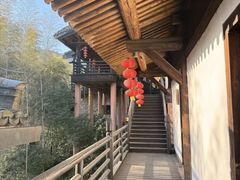 -大唐贡茶院