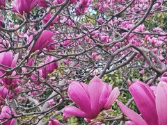 -白塘生态植物园