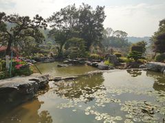 -东莞植物园