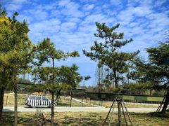 -上海野生动物园