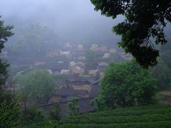 -杨家堂村