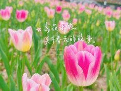 -静安雕塑公园