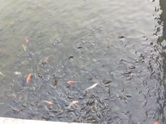 -沣峪口