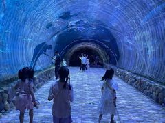 -华夏文旅海洋公园