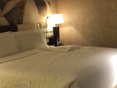 -国家会议中心大酒店