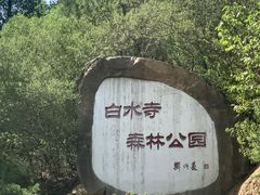 -白水寺森林公园