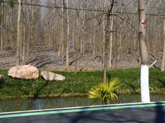 -合肥滨湖国家森林公园