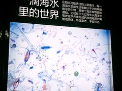 -同济大学四平路校区深海探索馆
