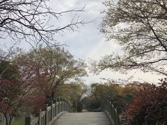 -上海市保健医疗中心(华东疗养院)