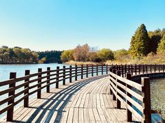 -苏州太湖国家湿地公园