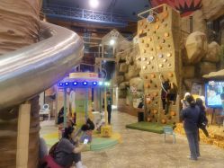 -卡通尼·Safari非洲探索乐园·生日会(金桥国际商业广场店)