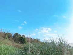 -金海湾滨江公园