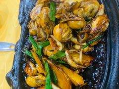 -濠轩阁特色生蚝火锅(水湾路店)