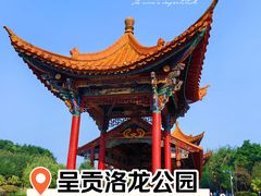 -洛龙公园
