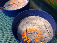 游乐设施-中国宋庆龄青少年科技文化交流中心