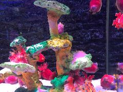 -秦皇岛新澳海底世界