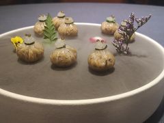 云南黑松露菌香布袋-翠府(翠湖北路店)