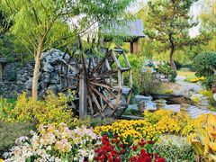 -上海共青森林公园