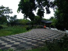 -尚贤河湿地