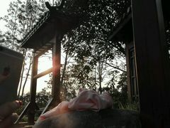 -抚州汤溪温泉