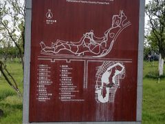 -瑶湖郊野森林公园