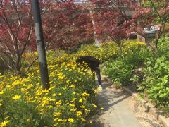 -昆山城市公园