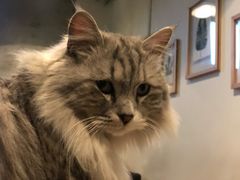 -VOYAGE COFFEE(北锣鼓巷店)