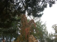 -辽宁大学(崇山校区)