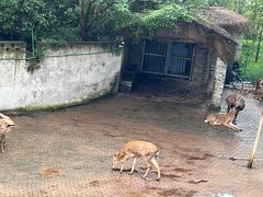 -台州府城(江南长城)