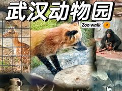 -武汉动物园