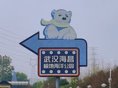 -海合安武汉极地海洋公园