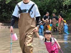 -大塘金香草谷
