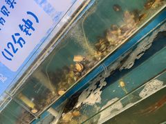-仙螺岛海鲜自助餐厅(总店)