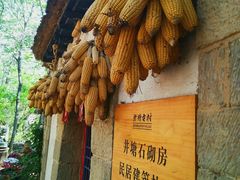 -井塘古村