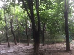 -亲兄弟真人CS团建拓展基地