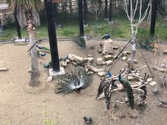 -武汉动物园