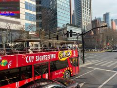 -BUS TOUR观光巴士