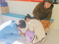 -天宠宠物医院24小时·急重症诊疗中心·全科·腔镜特色(和平分院)
