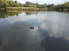 -前关湿地公园