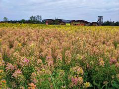 -中国天府农业博览园