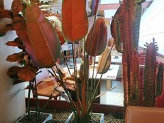 -小猪小牛章鱼水煎肉(盛京大奥莱店)