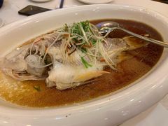 清蒸彩虹鲷鱼-顺峰(南二环店)