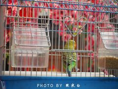 -丽江庭院之爱在路上(西单店)