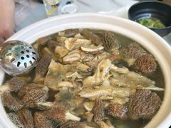 -蘑统田下·野生菌火锅