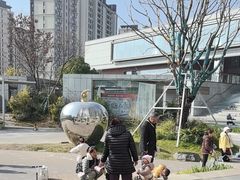 -金地丰盛道