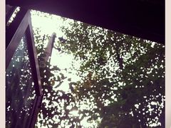 iphone_upload_pic-泡桐树孙二娘私房菜