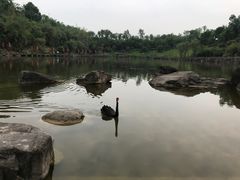 -两江国际影视城