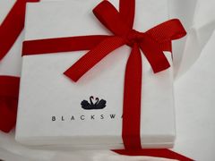 -BLACKSWAN黑天鹅(环球店)